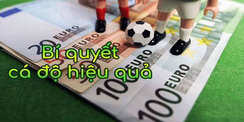 Bí quyết soi kèo cược xiên siêu hiệu quả từ chuyên gia