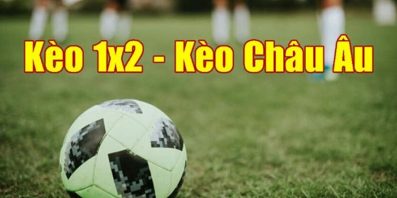 Cách đọc kèo 1x2 dành cho người mới chơi